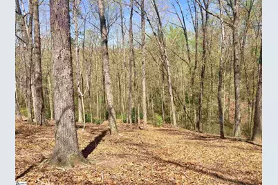 110 Black Knight Trail, Travelers Rest, SC 29690 - Photo 3