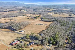 10 Lindsey Bridge Rd, Taylors, SC 29687 - Photo 31