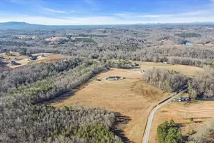 10 Lindsey Bridge Rd, Taylors, SC 29687 - Photo 37