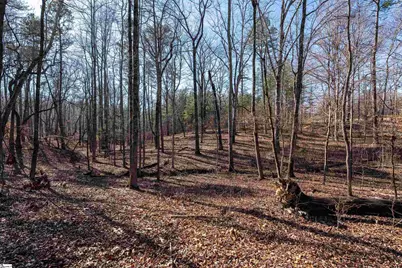 365 Patterson Road, Spartanburg, SC 29307 - Photo 27