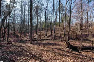 365 Patterson Rd, Spartanburg, SC 29307 - Photo 27