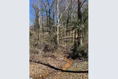 0 Forest Hills Drive #Lot 46, Gaffney, SC 29340 - Photo 11