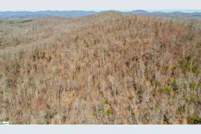 00 Burns Road, Travelers Rest, SC 29690 - Photo 9