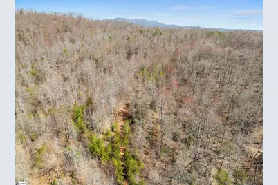 00 Burns Road, Travelers Rest, SC 29690 - Photo 11