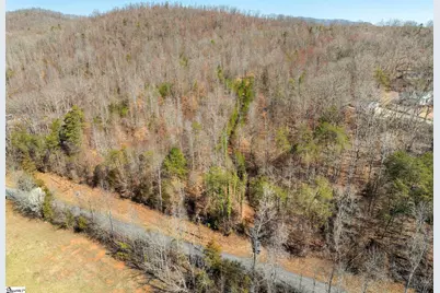 00 Burns Road, Travelers Rest, SC 29690 - Photo 3
