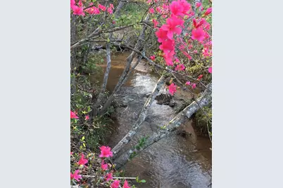 187 Meadow Brook Lane, Pickens, SC 29671 - Photo 31