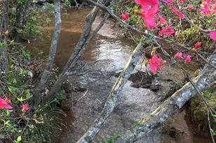 187 Meadow Brook Ln, Pickens, SC 29671 - Photo 31