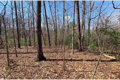 00 Alsace Way, Travelers Rest, SC 29690 - Photo 3