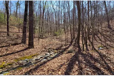 00 Alsace Way, Travelers Rest, SC 29690 - Photo 9