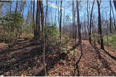 00 Alsace Way, Travelers Rest, SC 29690 - Photo 5