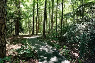 636 Lookover Dr, Anderson, SC 29621 - Photo 9