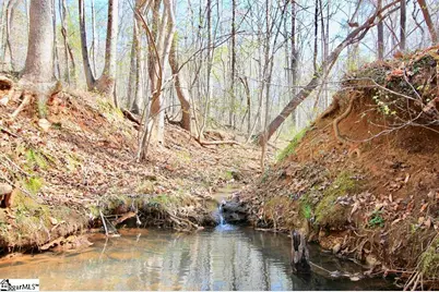390 Old Mill Road, Chesnee, SC 29323 - Photo 27