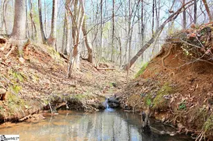 390 Old Mill Rd, Chesnee, SC 29323 - Photo 27