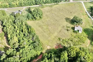 390 Old Mill Rd, Chesnee, SC 29323 - Photo 3