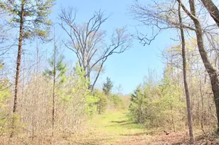 390 Old Mill Rd, Chesnee, SC 29323 - Photo 17