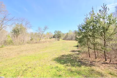 390 Old Mill Road, Chesnee, SC 29323 - Photo 19