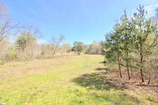 390 Old Mill Rd, Chesnee, SC 29323 - Photo 19