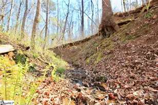 390 Old Mill Rd, Chesnee, SC 29323 - Photo 25