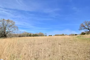 390 Old Mill Rd, Chesnee, SC 29323 - Photo 21