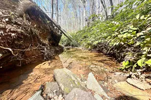 390 Old Mill Rd, Chesnee, SC 29323 - Photo 29