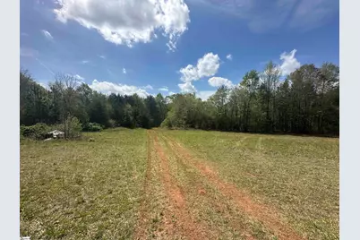 390 Old Mill Road, Chesnee, SC 29323 - Photo 31