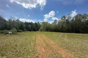 390 Old Mill Rd, Chesnee, SC 29323 - Photo 31