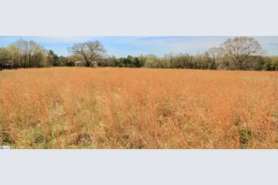 390 Old Mill Road, Chesnee, SC 29323 - Photo 23