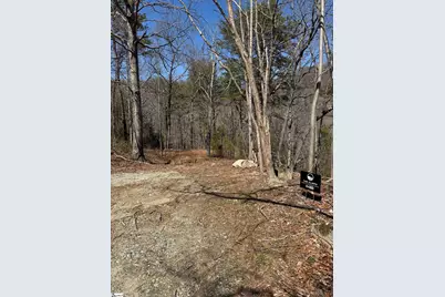 19 Foggy Ridge Way, Travelers Rest, SC 29690 - Photo 3