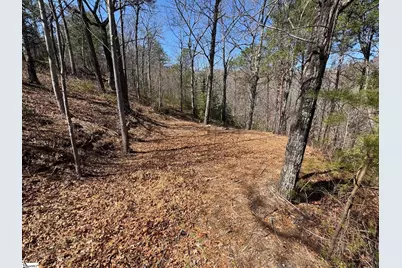 19 Foggy Ridge Way, Travelers Rest, SC 29690 - Photo 5