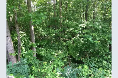 120 Ridgerunner Way, Travelers Rest, SC 29690 - Photo 3