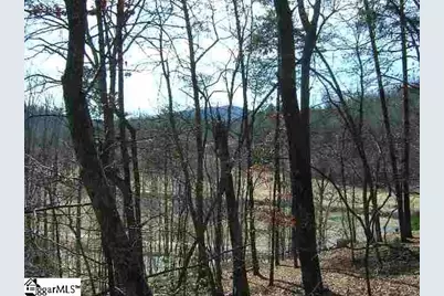 120 Ridgerunner Way, Travelers Rest, SC 29690 - Photo 9