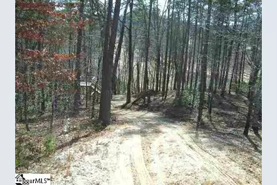 120 Ridgerunner Way, Travelers Rest, SC 29690 - Photo 5