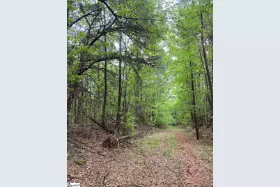 0 Wingo Road, Wellford, SC 29385 - Photo 3