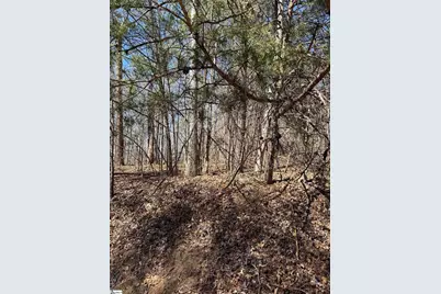 Links Ledge #Lot 17, Travelers Rest, SC 29690 - Photo 3