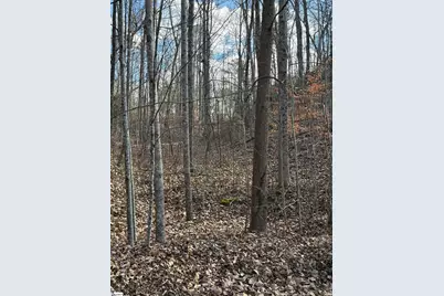 Links Ledge #Lot 17, Travelers Rest, SC 29690 - Photo 7