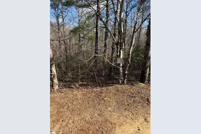 25 Lake Hill Lane, Travelers Rest, SC 29690 - Photo 5