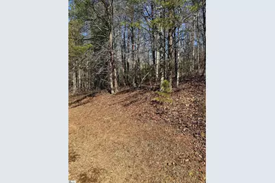 25 Lake Hill Lane, Travelers Rest, SC 29690 - Photo 9