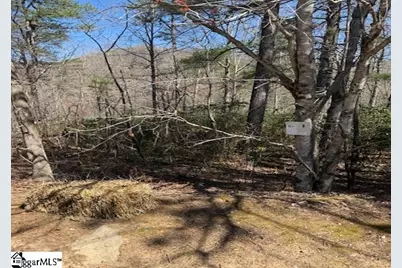 25 Lake Hill Lane, Travelers Rest, SC 29690 - Photo 1