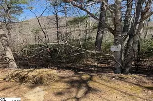 25 Lake Hill Ln, Travelers Rest, SC 29690 - Photo 1