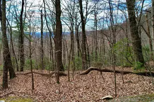 1329 Panther Park Trail, Travelers Rest, SC 29690 - Photo 1