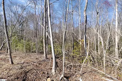 157 Zion School Road, Easley, SC 29642 - Photo 9