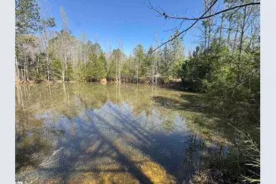 13352 Highway 76, Gray Court, SC 29645 - Photo 11