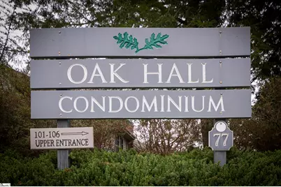 77 Chestnut Street Oak Hall #301, Tryon, NC 28782 - Photo 37