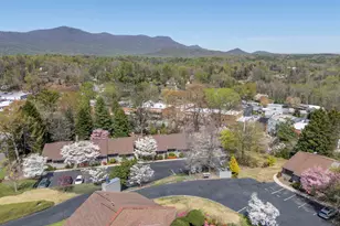 77 Chestnut St, Tryon, NC 28782 - Photo 39