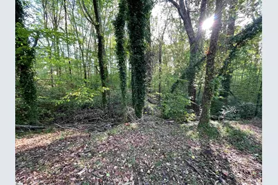 Forest Lane Drive, Gaffney, SC 29340 - Photo 5