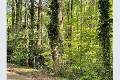 Forest Lane Drive, Gaffney, SC 29340 - Photo 3