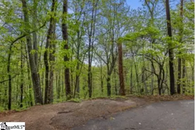 19287 Patrol Club Road, Greenville, SC 29609 - Photo 7