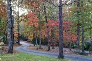 116 Dorothy Ln, Pickens, SC 29671 - Photo 5