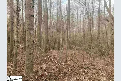 163 Rockingham Road, Duncan, SC 29334 - Photo 7