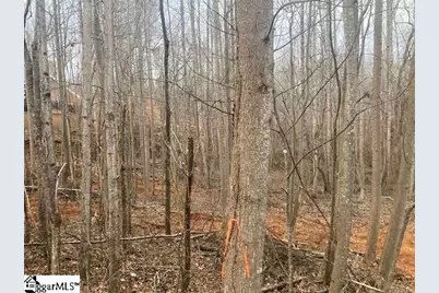 159 Rockingham Road, Duncan, SC 29334 - Photo 5